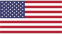 USA store Flag